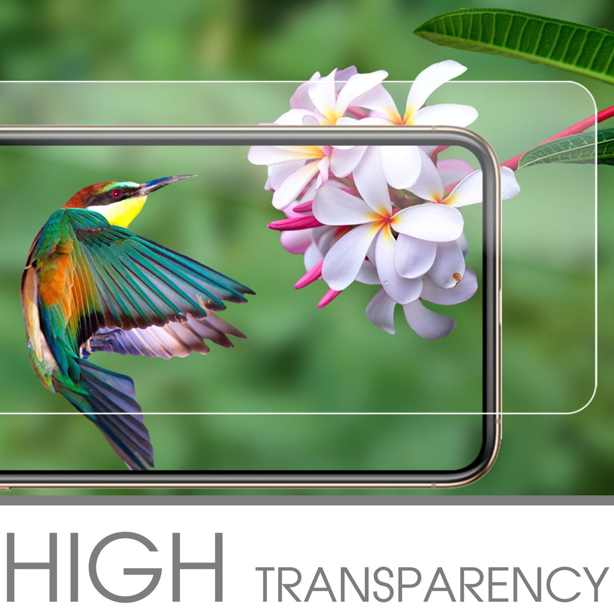 dipos Displayschutz für Apple iPhone 8 Plus, transparente Oberfläche, geringe Dicke und perfekte Passform