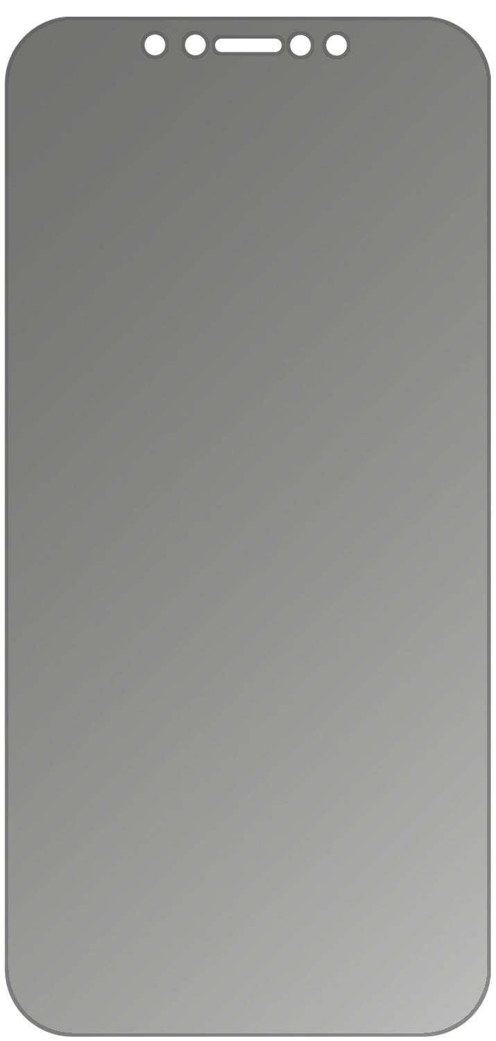 dipos Displayschutz für Apple iPhone 12 mini, mattierte Oberfläche, Blickschutzfilter und perfekter Passform
