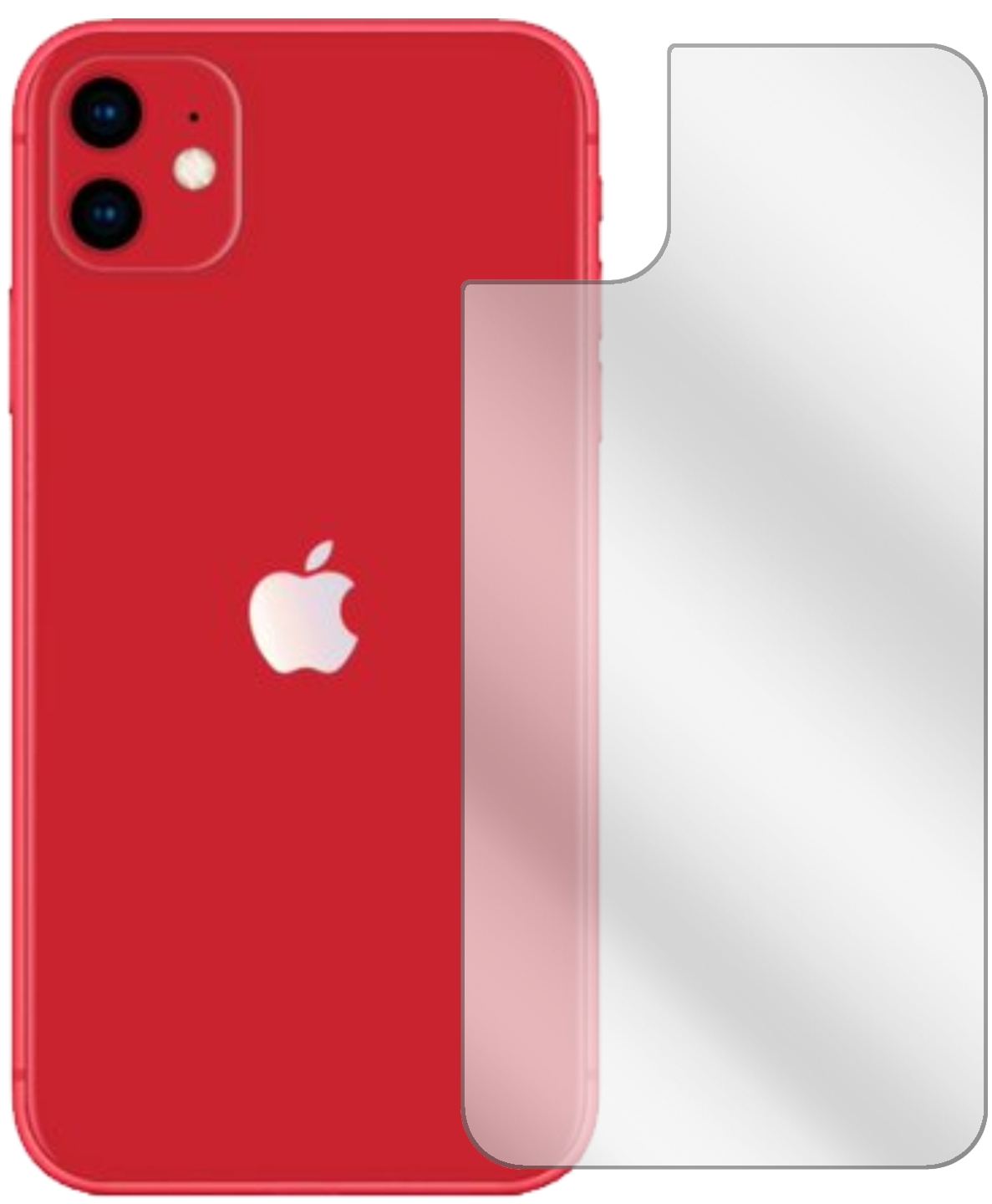 AppleiPhone 11 Rückseite mit aufgebrachter dipos Displayschutzfolie, glasklare Darstellung ohne Einschränkungen