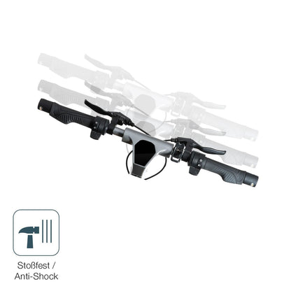 2x 9H Schutzfolie für Epowerfun ePF-PULSE 960 Panz (4)