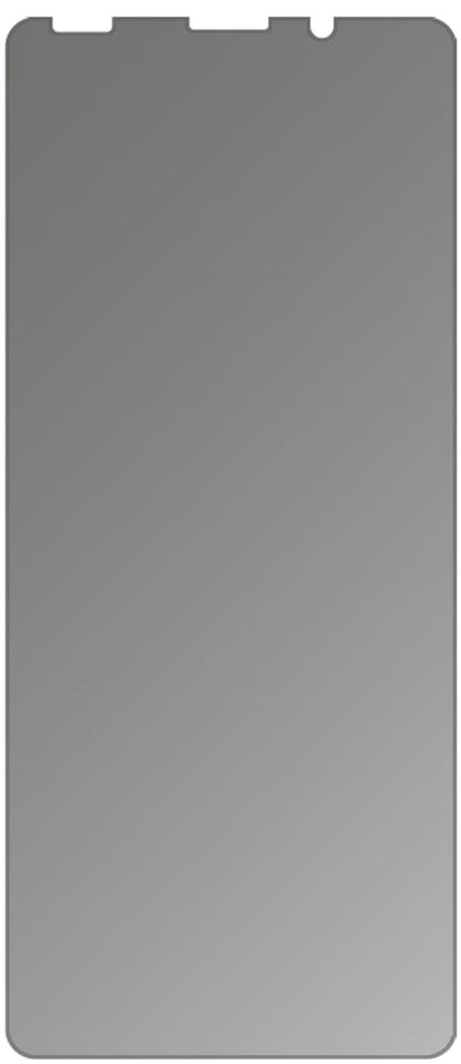 Blickschutzfolie für Echo Horizon Lite matt Schutz (3)